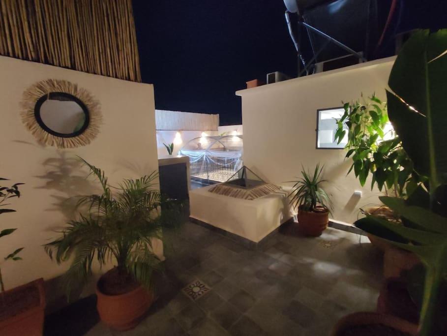 Caravane Palace 4 En Exclusivite *